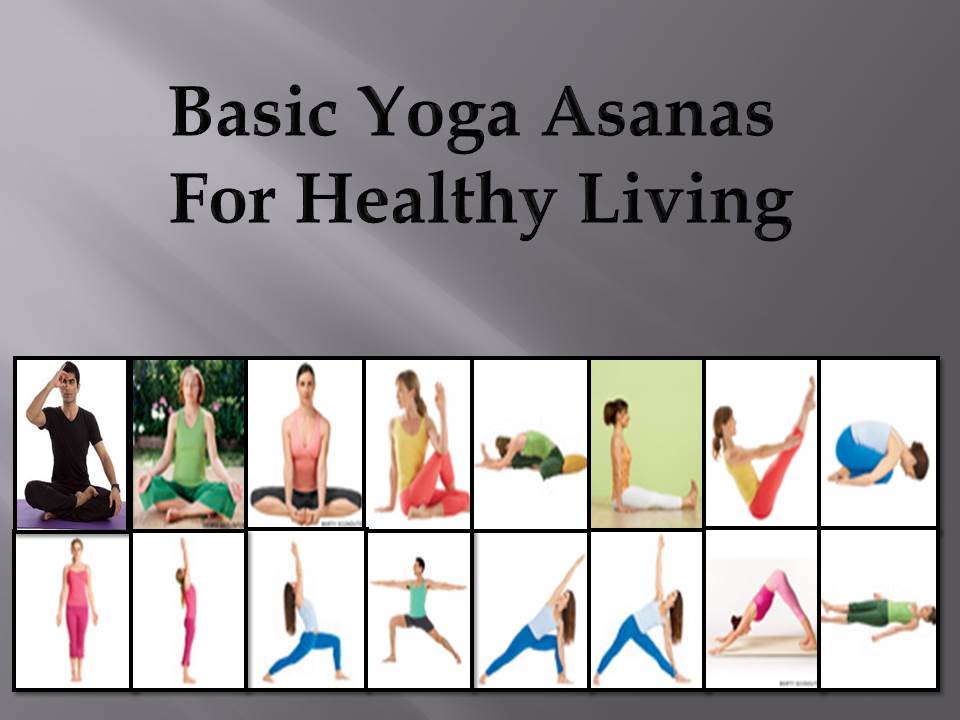 Basic Yoga Asanas For Healthy Living - Wellness Haven Yoga