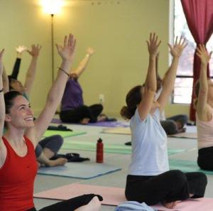 Wellness Haven Yoga