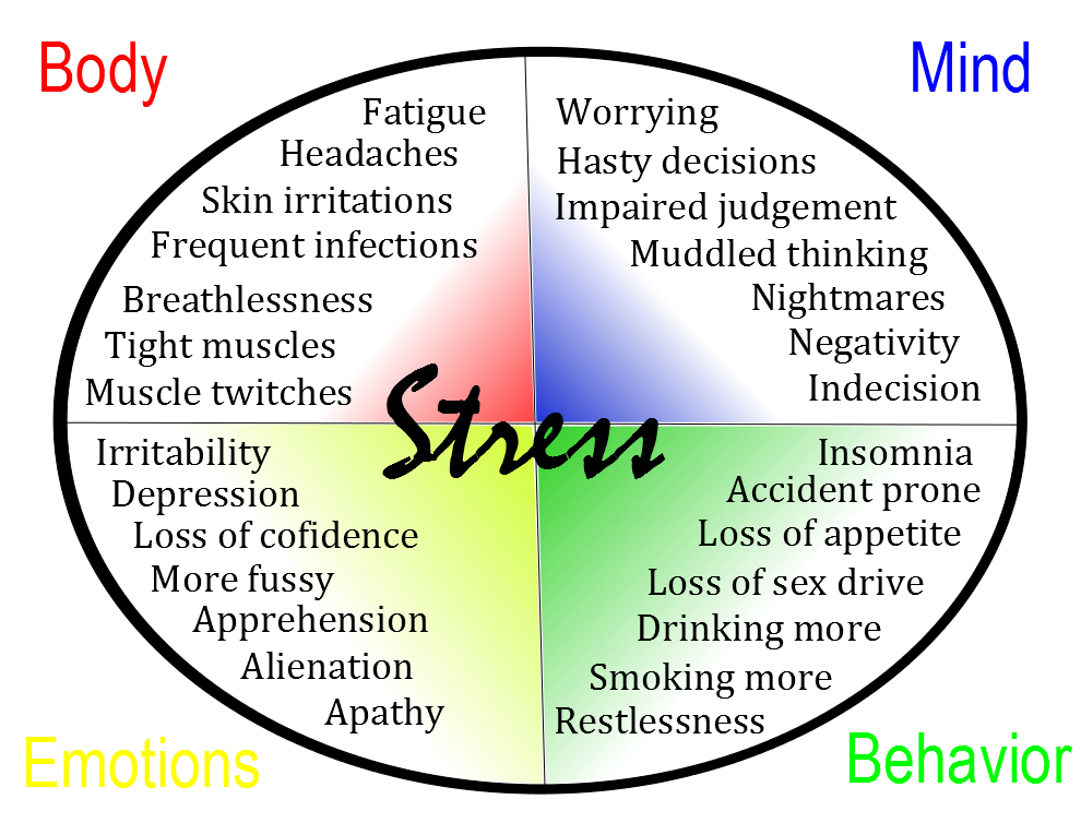 How Chronic Work Stress Damages Your Brain And 10 Things You Can Do